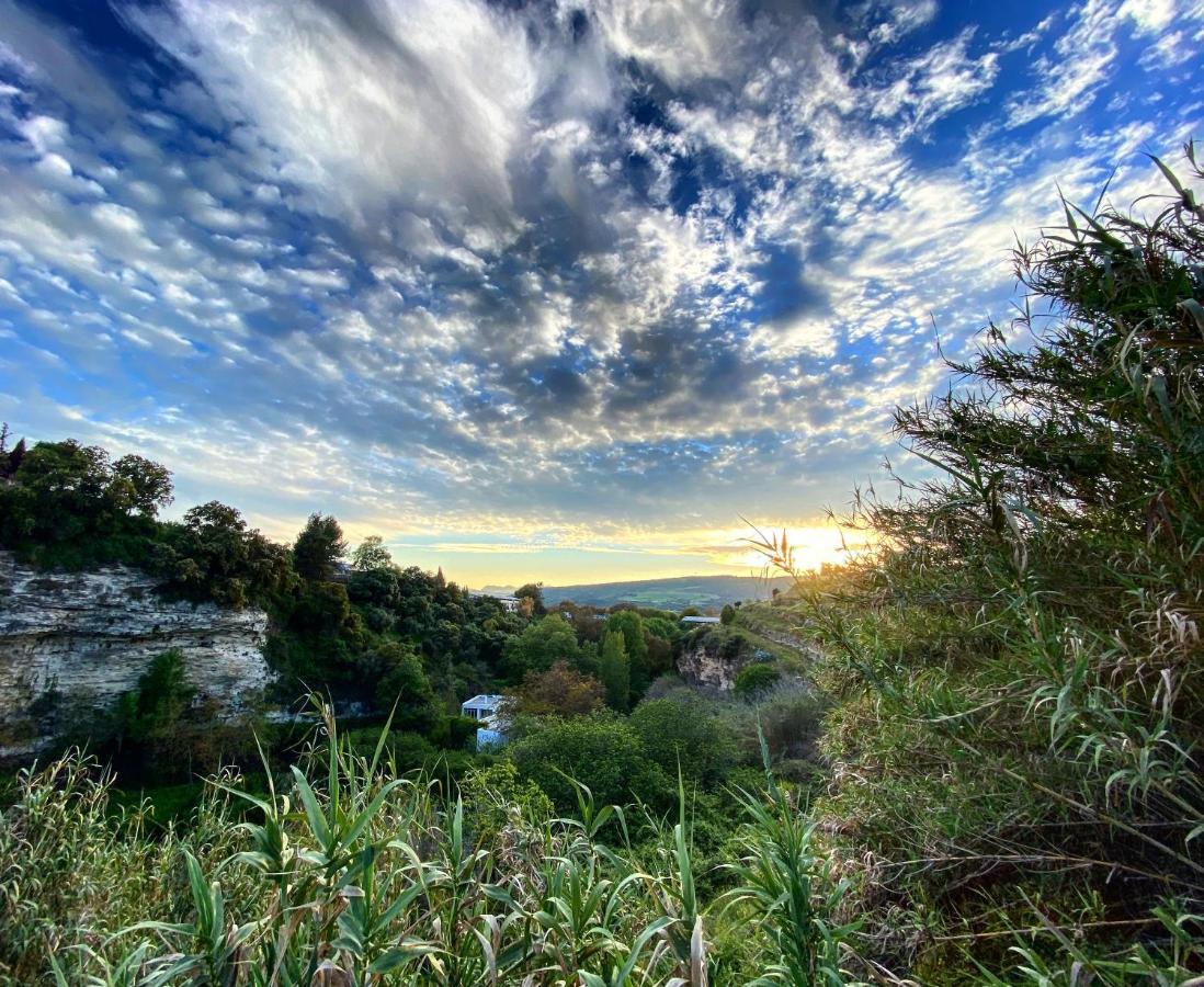 Villa Ignacia B&B - Naturaleza Entre Ronda Y Setenil Arriate Ngoại thất bức ảnh