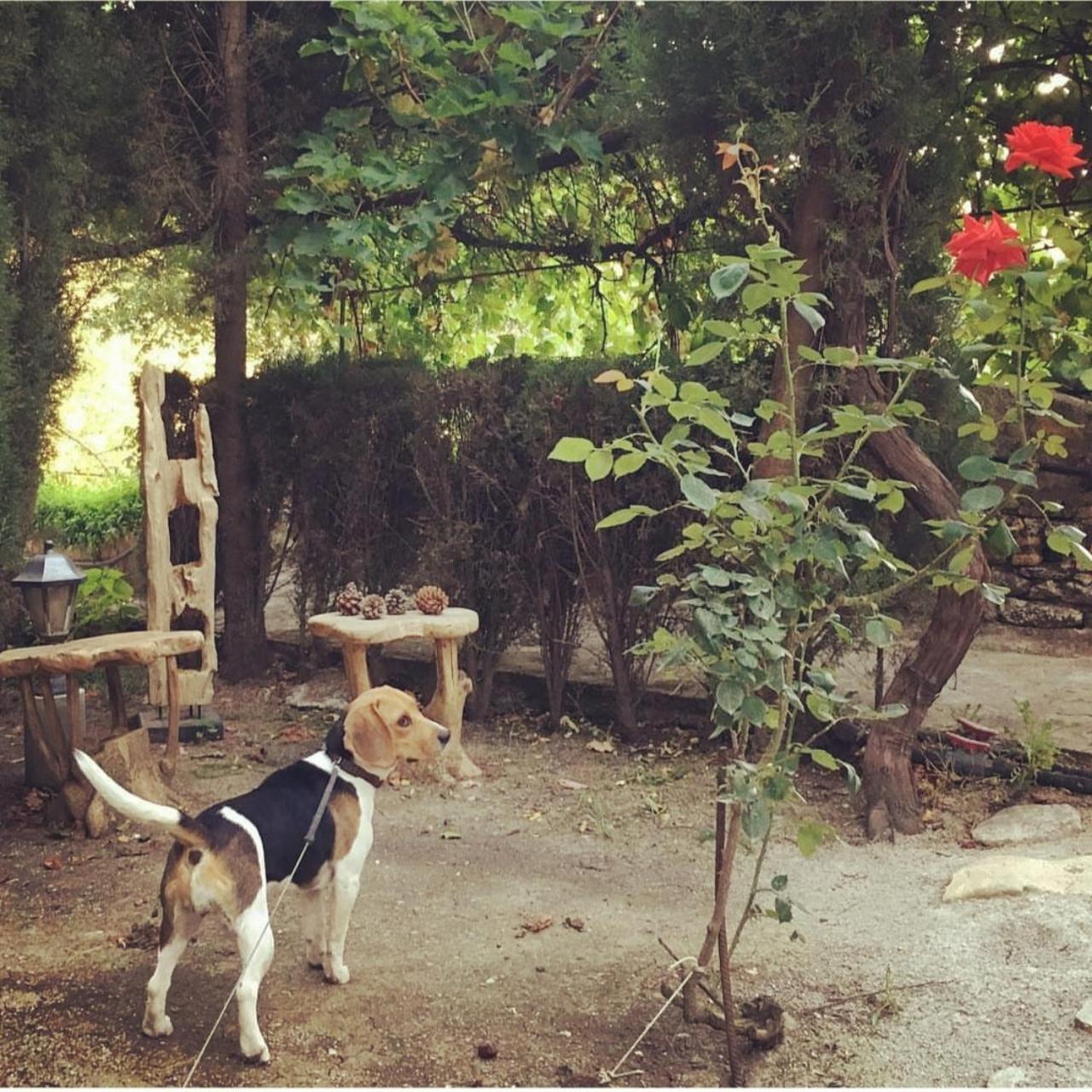 Villa Ignacia B&B - Naturaleza Entre Ronda Y Setenil Arriate Ngoại thất bức ảnh